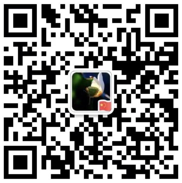 蜂胶系列-江苏蜂郎中生物科技有限公司